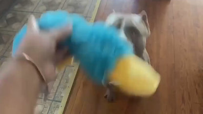 QuackPal Crinkle Duck Dog Toy