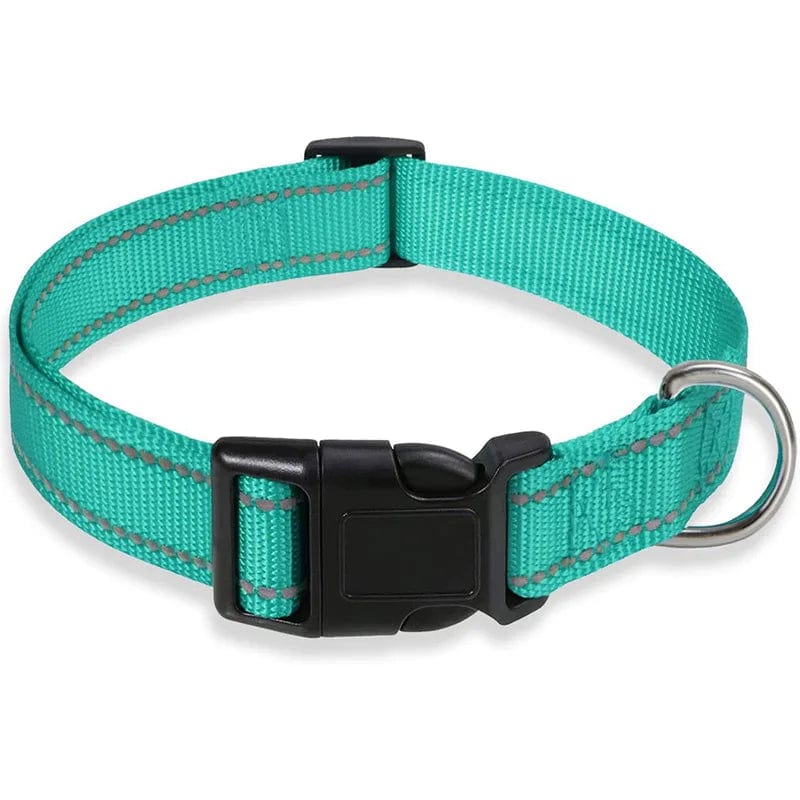 The Cat Dog Shop Dog Collar Aqua / S Pawsome Glow Reflective Dog Collar