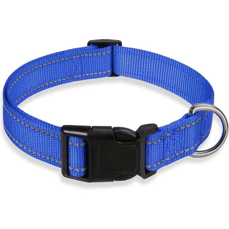 The Cat Dog Shop Dog Collar Blue / S Pawsome Glow Reflective Dog Collar