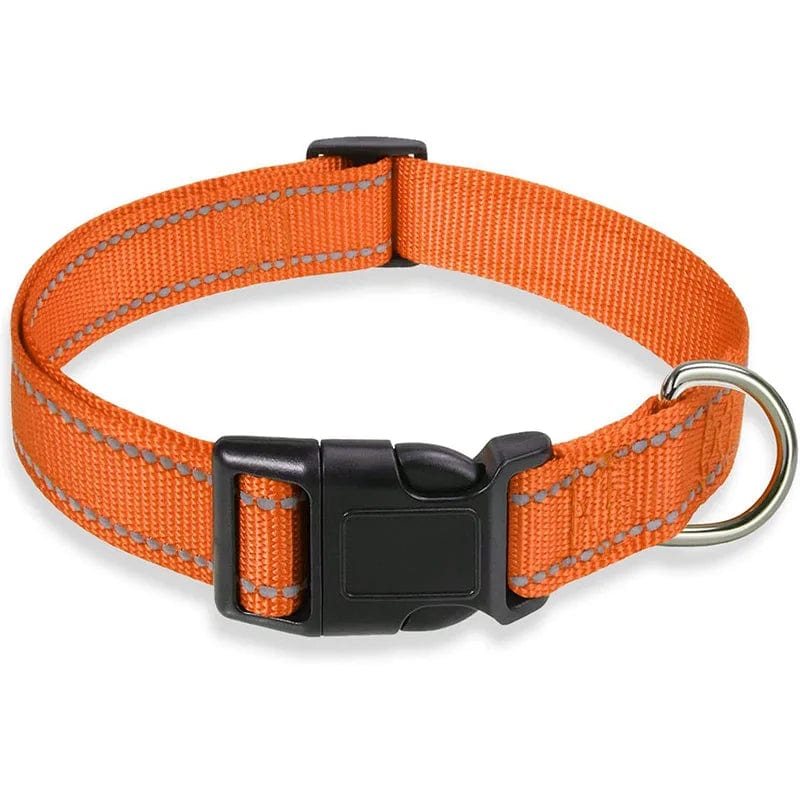 The Cat Dog Shop Dog Collar Orange / S Pawsome Glow Reflective Dog Collar