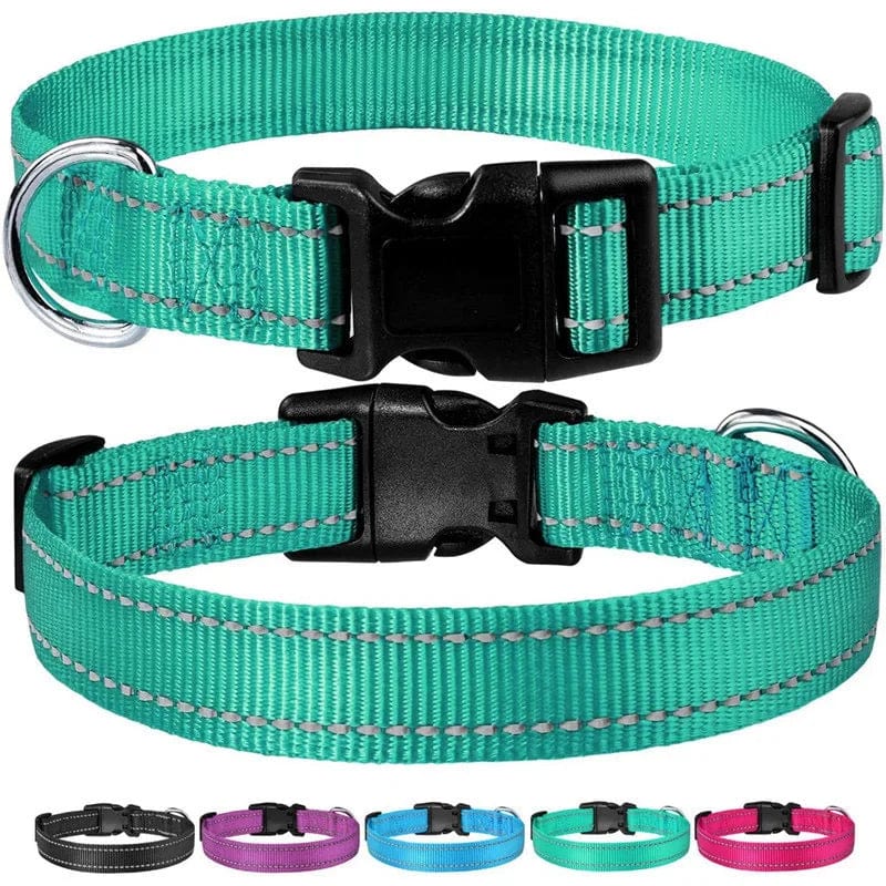 The Cat Dog Shop Dog Collar Pawsome Glow Reflective Dog Collar