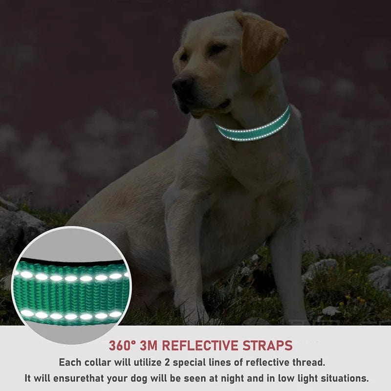 The Cat Dog Shop Dog Collar Pawsome Glow Reflective Dog Collar