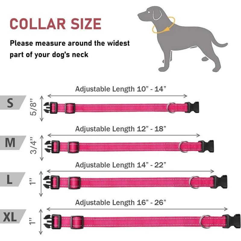 The Cat Dog Shop Dog Collar Pawsome Glow Reflective Dog Collar