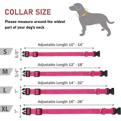 The Cat Dog Shop Dog Collar Pawsome Glow Reflective Dog Collar