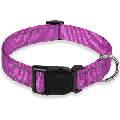 The Cat Dog Shop Dog Collar Purple / S Pawsome Glow Reflective Dog Collar