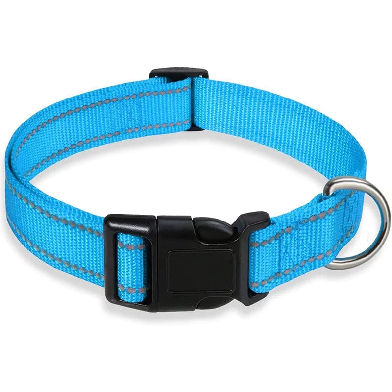 The Cat Dog Shop Dog Collar Sky Blue / S Pawsome Glow Reflective Dog Collar