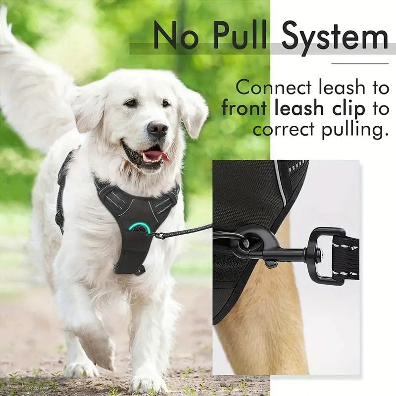 The Cat Dog Shop Dog Harness AlphaStride No-Pull Adventure Harness