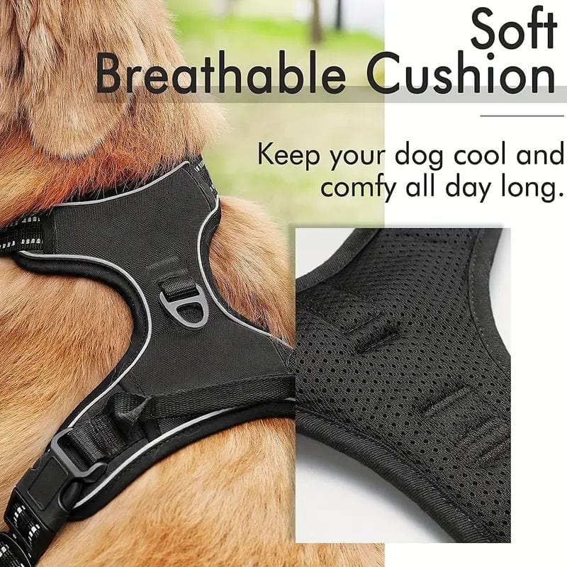 The Cat Dog Shop Dog Harness AlphaStride No-Pull Adventure Harness