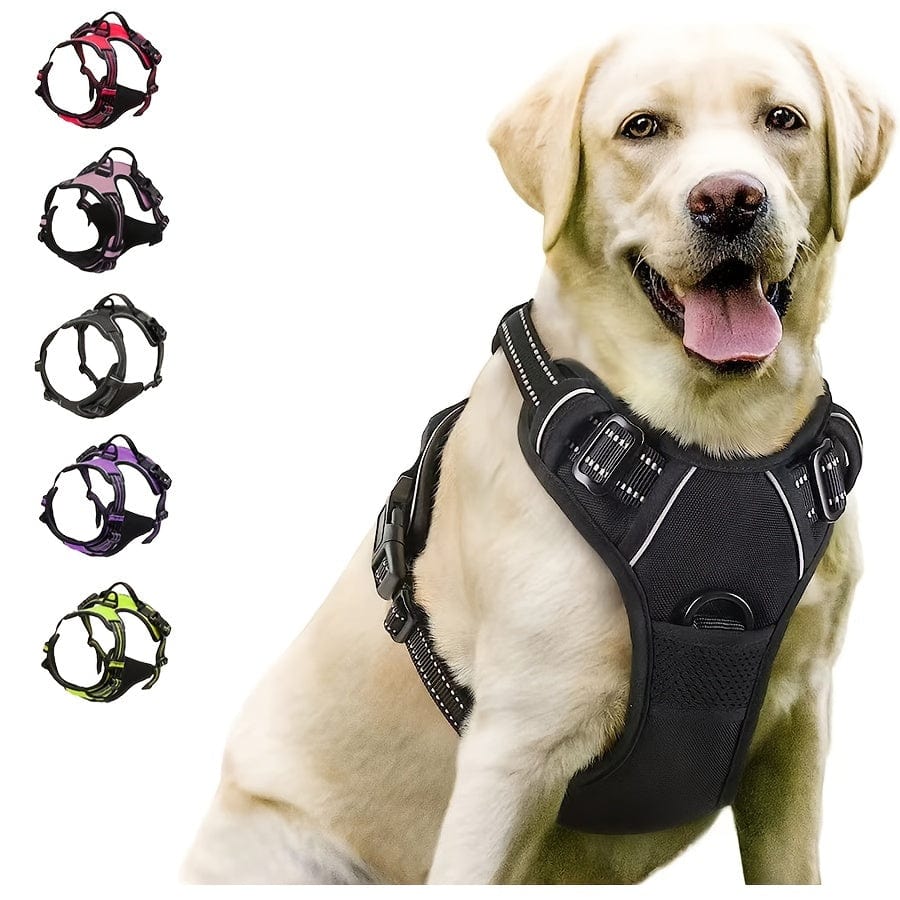 The Cat Dog Shop Dog Harness AlphaStride No-Pull Adventure Harness