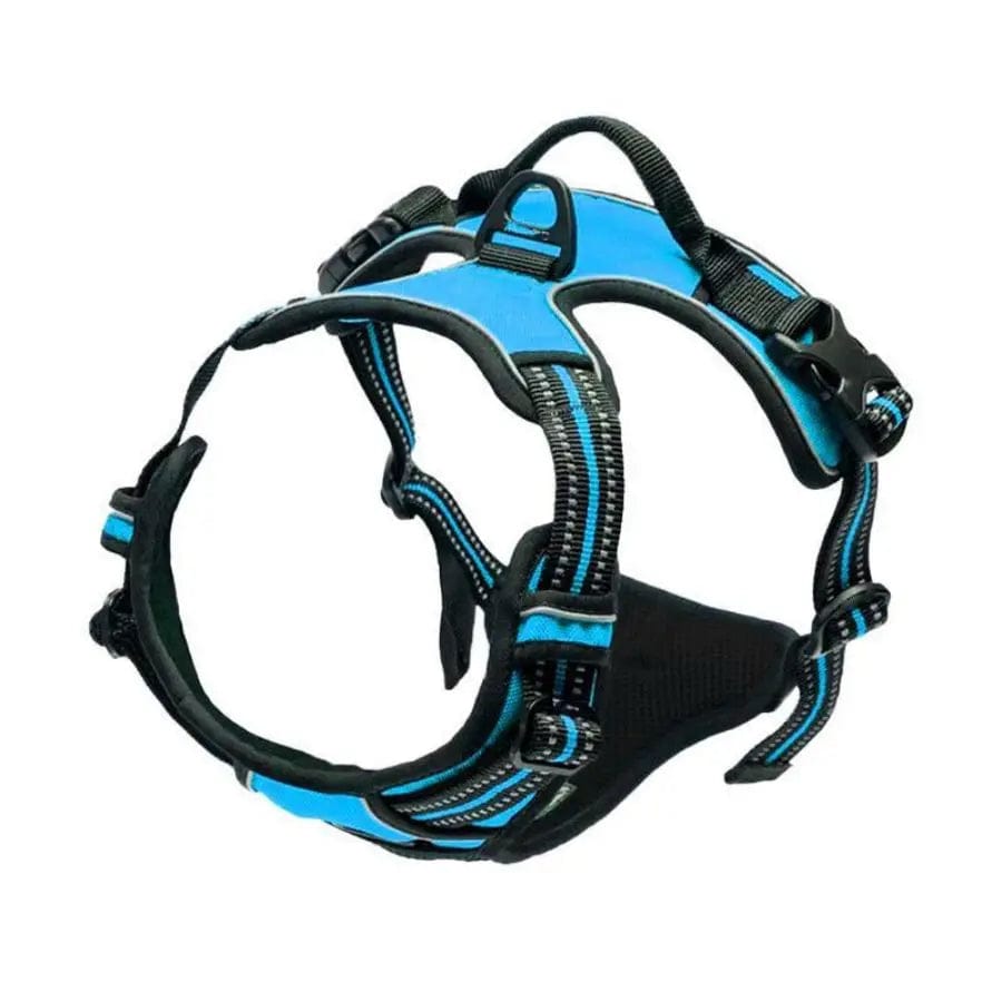 The Cat Dog Shop Dog Harness Blue / S AlphaStride No-Pull Adventure Harness