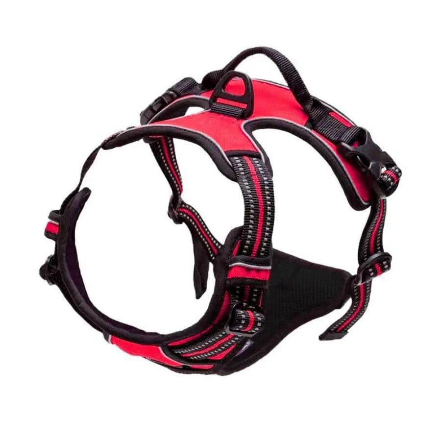 The Cat Dog Shop Dog Harness Red / S AlphaStride No-Pull Adventure Harness