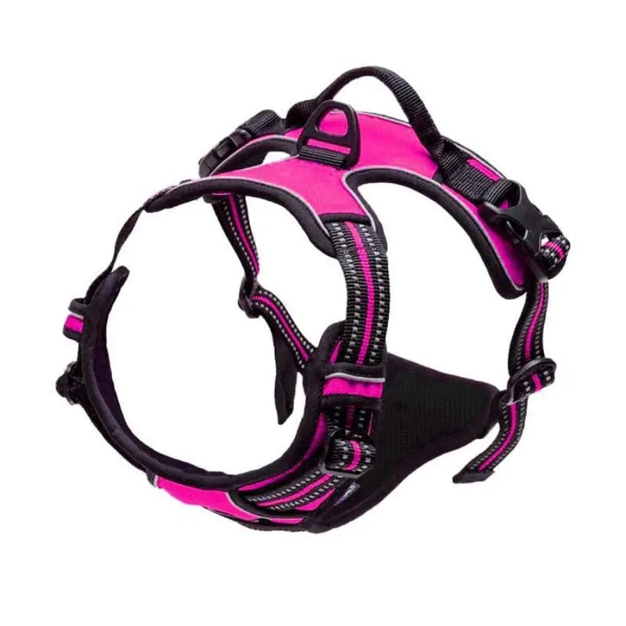 The Cat Dog Shop Dog Harness Rose / S AlphaStride No-Pull Adventure Harness