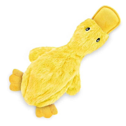 The Cat Dog Shop Dog Toy Yellow / 37 cm x 20 cm QuackPal Crinkle Duck Dog Toy