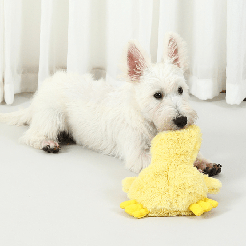 The Cat Dog Shop Dog Toy Yellow / 37 cm x 20 cm QuackPal Crinkle Duck Dog Toy