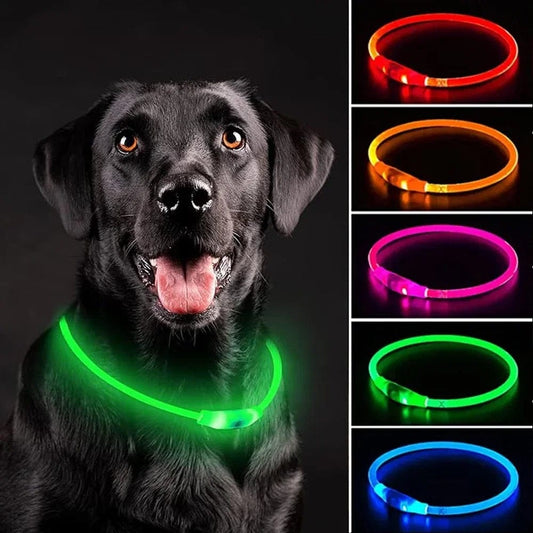 The CatDog Shop LED Dog Collar GlowGuard USB Rechargeable LED Dog Collar