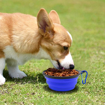 The CatDog Shop Pet Bowls Paws2Go Collapsible Pet Bowls